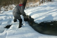 IMG_7650.JPG