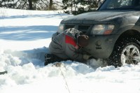 IMG_7642.JPG
