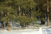 IMG_7692.JPG