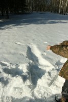 IMG_7683.JPG