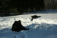 IMG_7680.JPG