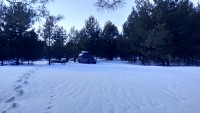 IMG_20210320_154803.jpg
