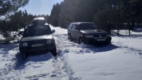 IMG_20210320_141417.jpg