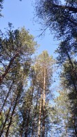IMG_20210320_115806.jpg