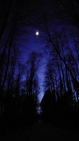 IMG_20210319_193235.jpg
