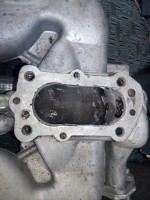 IMG_20210402_170819.jpg