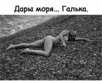 Галька.jpeg