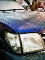 5A5F7239-40CA-4F7E-9507-CE836B11A544.jpeg