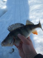 IMG_20210329_164107.jpg