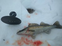 IMG_20210330_102108.jpg