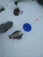 IMG_20210330_095022.jpg