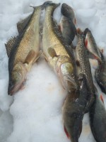 IMG_20210331_132634.jpg