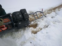 IMG_20210110_113858.jpg