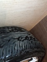 IMG_20210212_121809.jpg