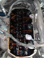6B9BF40D-2FBD-4D74-9B28-C757050CB205.jpeg