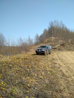 IMG_20210417_125035.jpg