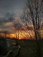 IMG_20210417_193023.jpg