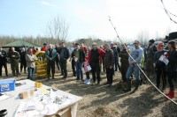 IMG_7786.JPG