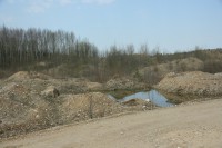 IMG_7856.JPG