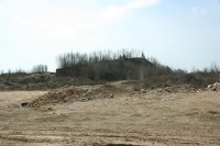 IMG_7859.JPG