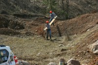 IMG_7875.JPG