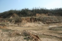 IMG_7890.JPG
