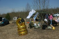 IMG_7921.JPG