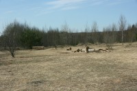 IMG_8094.JPG