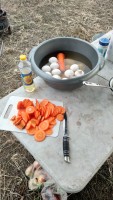 IMG_20210415_174311.jpg