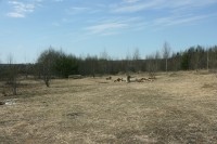 IMG_8093.JPG