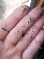 WhatsApp Image 2021-04-25 at 21.12.14.jpeg (105.66 КБ) 2759 просмотров WhatsApp Image 2021-04-25 at 21.12.14.jpeg