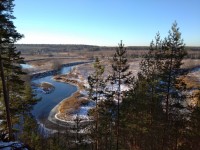 IMG_20201206_114459_1.jpg