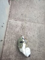 IMG_20210506_181206.jpg