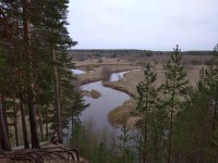 IMG_20210508_090415.jpg