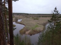 IMG_20210508_090454_1.jpg