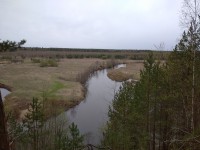 IMG_20210508_090524_1.jpg