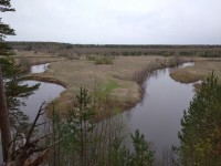IMG_20210508_090540.jpg