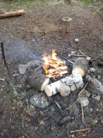 IMG_20210508_161624.jpg