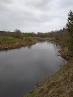 IMG_20210508_161700_1.jpg