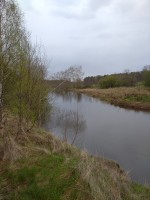 IMG_20210508_161705.jpg