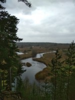 IMG-20210509-WA0012.jpg