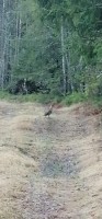 IMG-20210509-WA0014.jpg