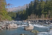 DSC_0207.JPG