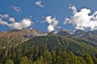 DSC_0240.JPG