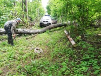 IMG-20210609-WA0002.jpg
