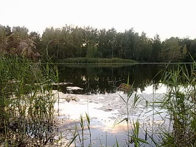 15092011233.jpg
