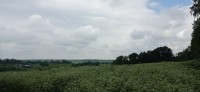 Поля, природа окрестностей