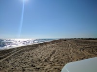 IMG_20210615_170926.jpg