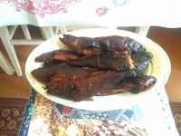 IMG_20210629_142448.jpg
