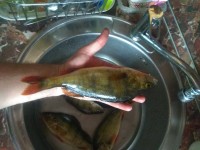 IMG_20210628_072532.jpg
